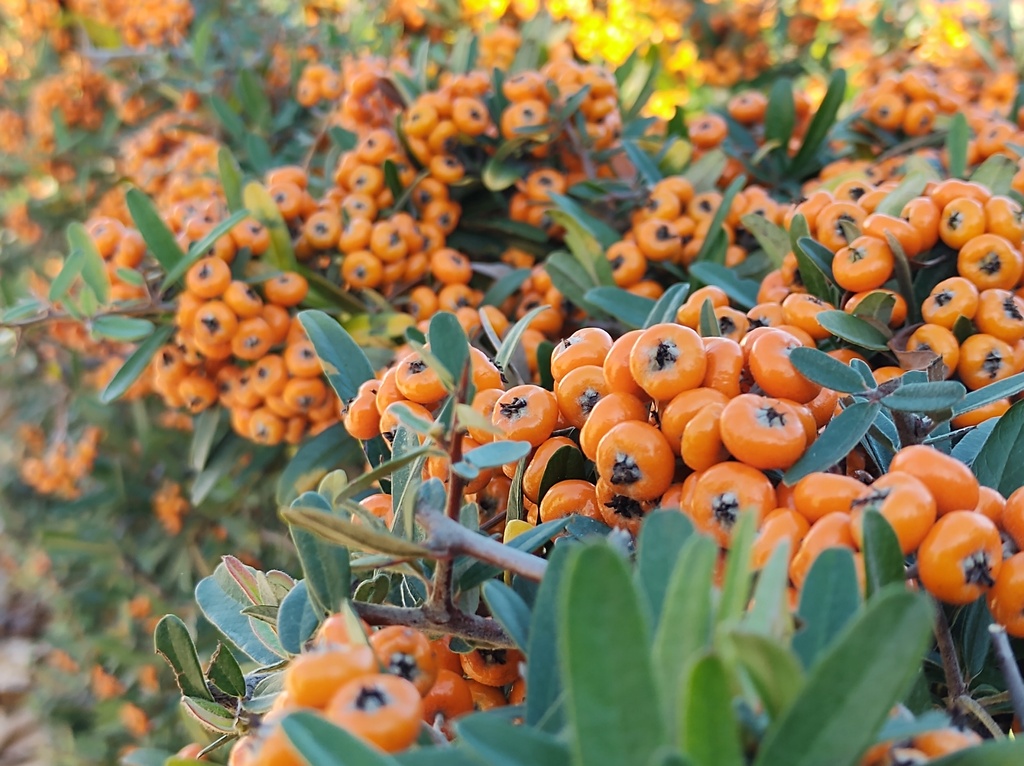 No s'ha trobat l'arxiu